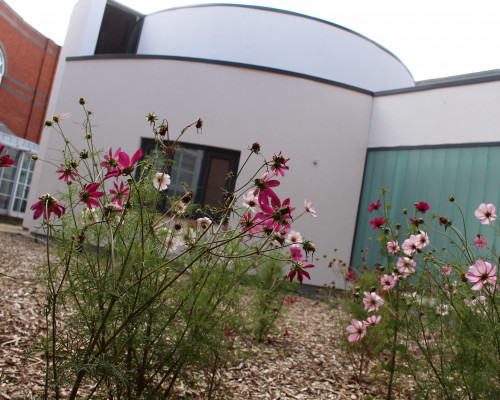 Camino Rest : St James's Hospital